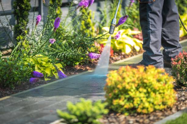 Best Dumpster Area Cleaning  in Grove, OK